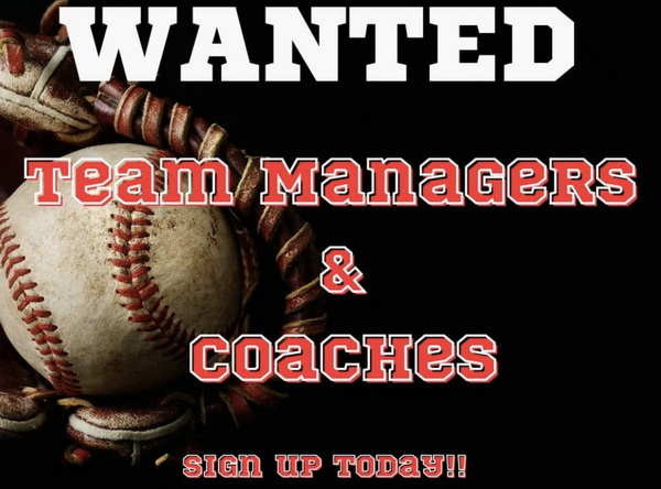 team managers wanted